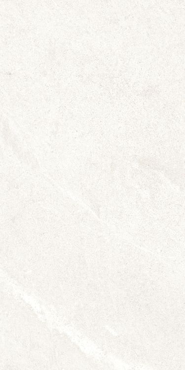 Dhara White Matte 12 x 24